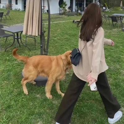 伍六七之记忆碎片